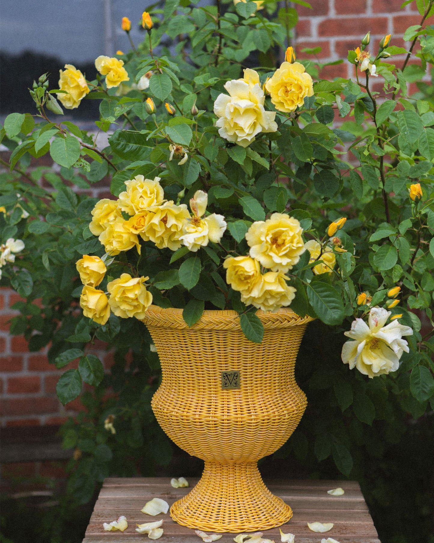 MEDICI Table Vase, Sun Yellow